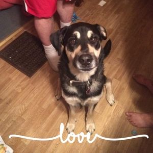 Meet your Posher, Briana